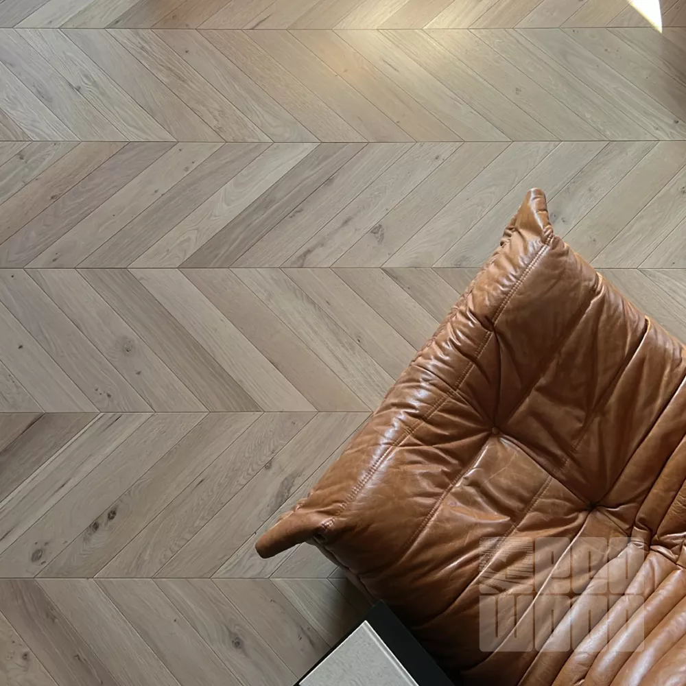 Французская елка Дуб Чили