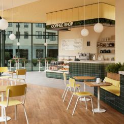 Berry Alloc Zenn Cairo Клеевой виниловый ламинат