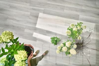 Arbiton Дуб Вайтрик DW175 Виниловый ламинат SPC