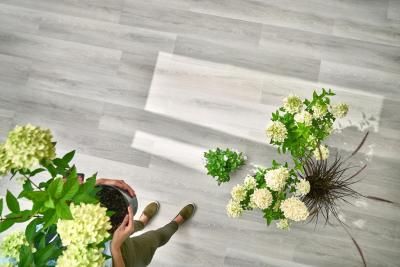 Arbiton Дуб Вайтрик DW175 Виниловый ламинат SPC Arbiton Дуб Вайтрик DW175 Виниловый ламинат SPC