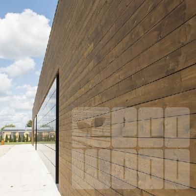 Готовий фасад з термососни