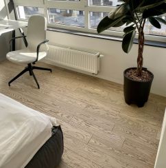 Паркетная доска Дуб Дюна