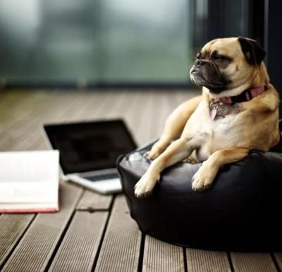 Профилактический уход Профилактический уход